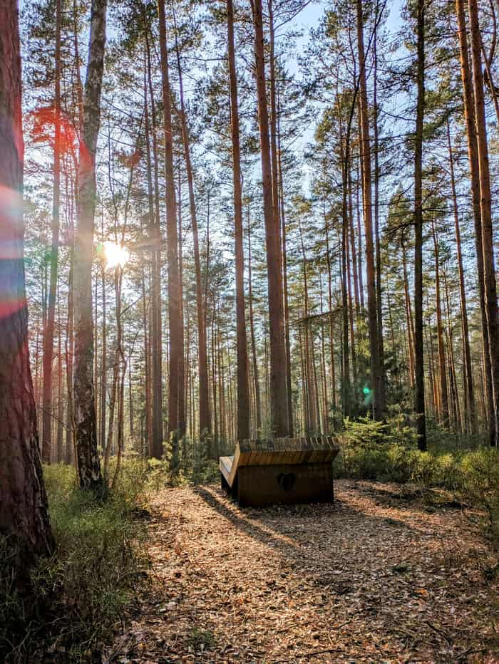 "Ein Ort, um zur Ruhe zu kommen und Stress abzubauen. Diese Station ermöglicht es, die positiven und gesundheitlichen Erfahrungen des Waldbadens zu erleben. Mehrere Angebote laden ein, die Sinne zu öffnen und ins Spüren zu kommen." (von https://www.goethe-erlebnisweg.de)