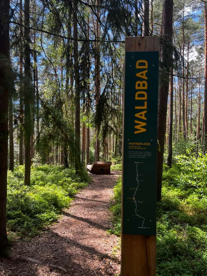 Abkühlung im Waldbad